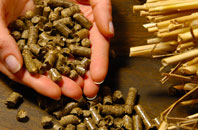 free Sale Green biomass boiler quotes