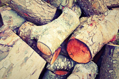 Sale Green wood burning boiler costs